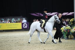 Supreme Pony of the Year Prelim