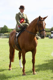 E36_2328 2026