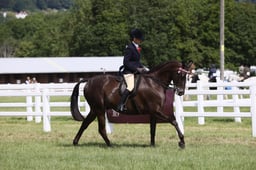 E43_0675 2026