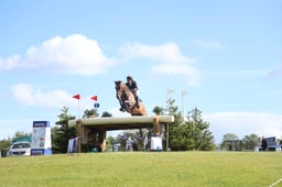 D39_4391 2026