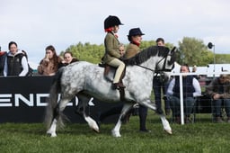 E30_0368 2026