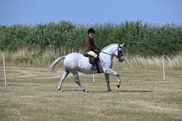 S60_0543 2026