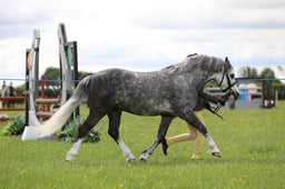 J36_5903 2026