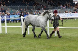 M44_0777 2026