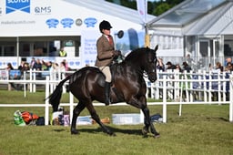 A46_0131 2026