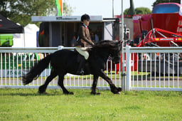 W33_0682 2026