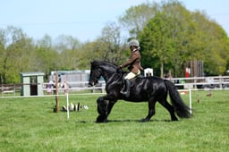 M19_0445 2026