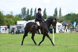 19 HOYS Ridden Small Hack