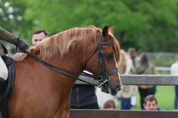 S30_3686 2026