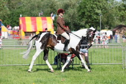 C33_0935 2026