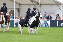 C23_0295 2026