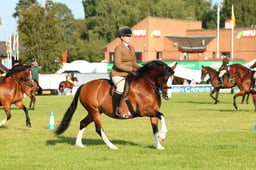 E68_9003 2026