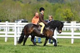 H19_0605 2026