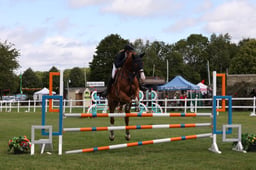 H302 Senior 1.05m Open