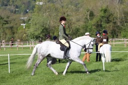C19_0446 2026