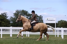 H108 Novice Hunters
