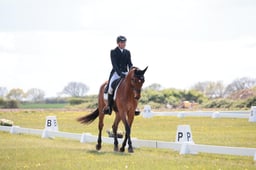 B16_0426 2026
