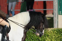 S61_0016 2026