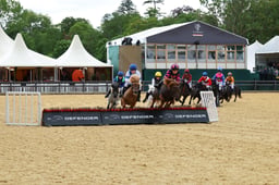 H29_1616 2026