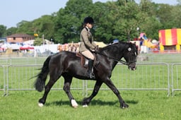 C33_0788 2026