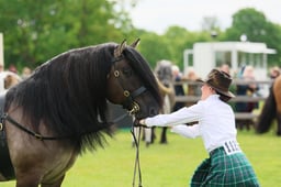 S29_0664 2026