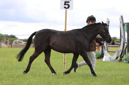 J36_6107 2026