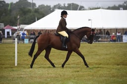 21 RoR Open Ridden Show Series