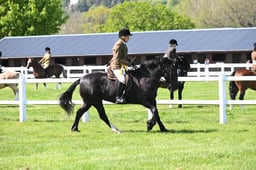 S19_7525 2026