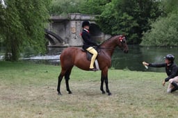 L31_2568 2026
