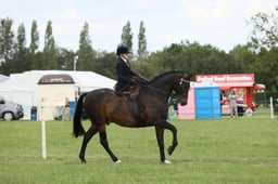 E36_2220 2026