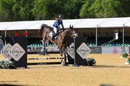 H28_2469 2026