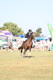 U60_0248 2026