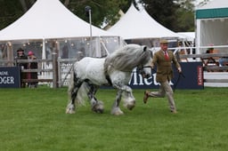 W29_0904 2026