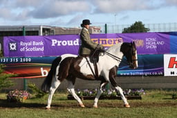 E46_0093 2026