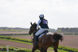 D1704490 2026