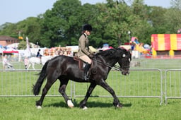 C33_0803 2026
