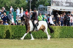 S61_0545 2026