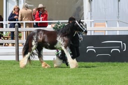 S28_8428 2026