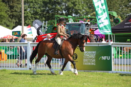 122-120 RIHS M&M Ridden Championship