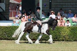 S61_0671 2026