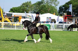 H33_3748 2026