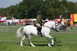 C34_1038 2026