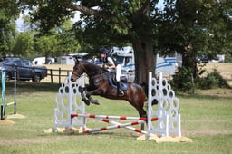 602 Rathcoona Brendan