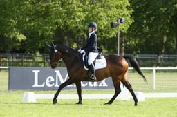 E29_2582 2026