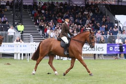 E44_2406 2026