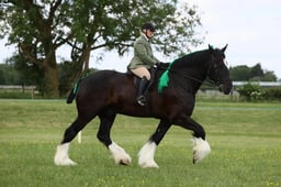 E36_1686 2026