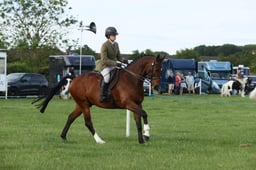 E36_0104 2026