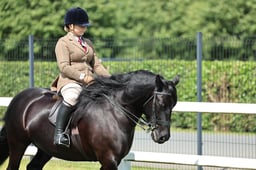 H15 HOYS Junior Ridden Large Breeds