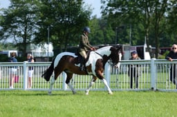 21 Style and Performance