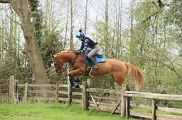 30 NJ Equestrian